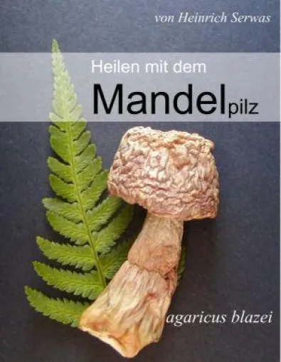Bild: Ein Buch zur Aufklärung über einen Heilpilz: Heilen mit dem Mandelpilz - agaricus blazei