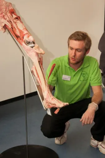 Bild: Physiotherapie und Massage hautnah erleben – „Tag der offenen Tür“ in der VPT-Berufsfachschule in Bad Birnbach