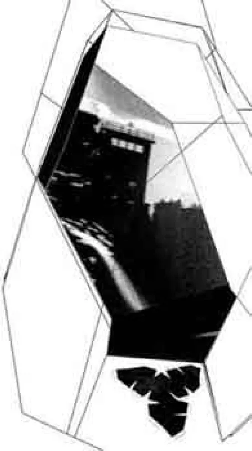 TINA BORN: Pavillon Nocturne