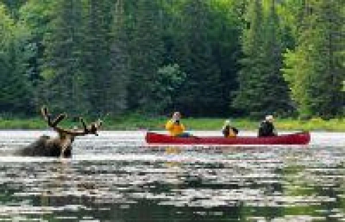 Algonquin Provincial Park_Muskoka_ON_Credit-Voyageur Quest