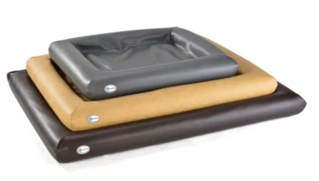 Bild: Jeder 5. Hund im Alter ab 7 Jahren leidet unter Gelenkproblemen und damit verbundenen chronischen Schmerzen