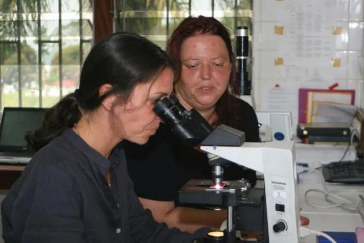 Trierer Knowhow ist auch in Afrika gefragt - Auszubildende der Euro-Schulen Trier richtet Archiv in Gabun ein Bild: Trierer Knowhow ist auch in Afrika gefragt - Auszubildende der Euro-Schulen Trier richtet Archiv in Gabun ein