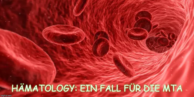 Medizinstudium oder medizinische Ausbildung - Infotag am IFBM Köln Bild: Medizinstudium oder medizinische Ausbildung - Infotag am IFBM Köln