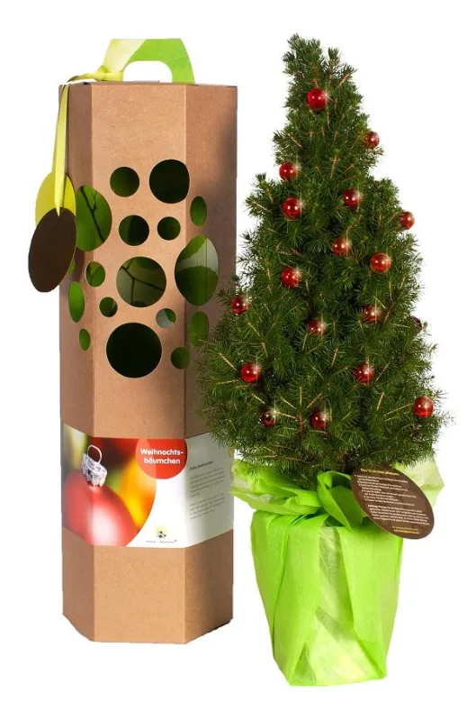 Weihnachtsbäumchen