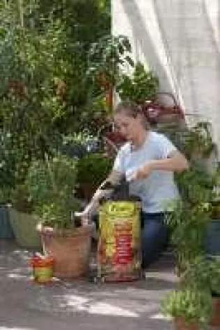 Bild: Organische BioLine Erden und Dünger von frux fördern Aroma und Ernte