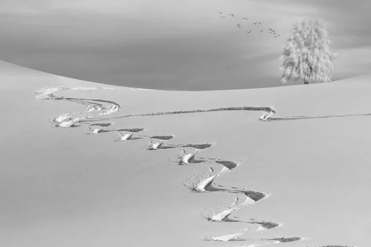 Das BDSG-neu: Was ist wirklich neu und was bleibt? Bild: Das BDSG-neu: Was ist wirklich neu und was bleibt?