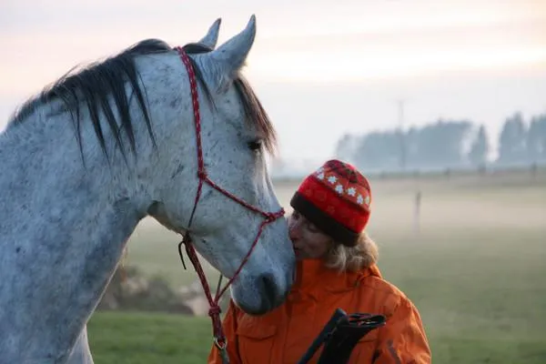 Bild: Studienplatz gesucht? Europäische Pferde Akademie hat noch Plätze frei für 2011