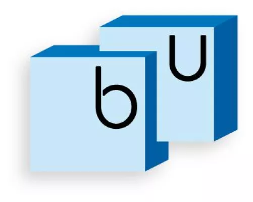 Bild: Portal für Berufsunfähigkeitsversicherungen mit einzigartigen Insider-Tipps jetzt online