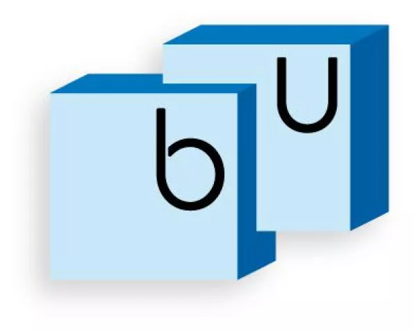 Bild: Portal für Berufsunfähigkeitsversicherungen mit einzigartigen Insider-Tipps jetzt online