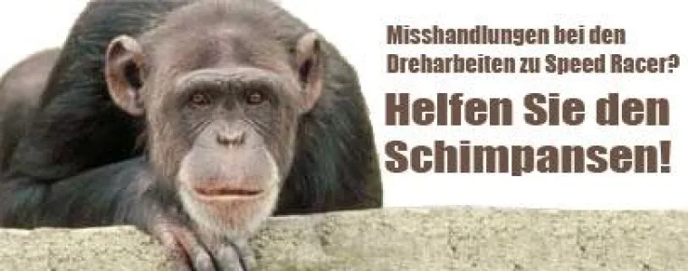 Bild: PETA-Informant berichtet von Tierquälerei am Set von Speed Racer der Brüder Wachowski in Potsdam