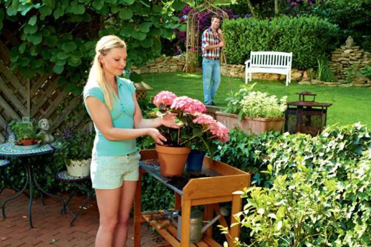 Die neuen „Endless Summer“-Erden von Floragard gibt es für blaue oder weiße und rosa Blüten.