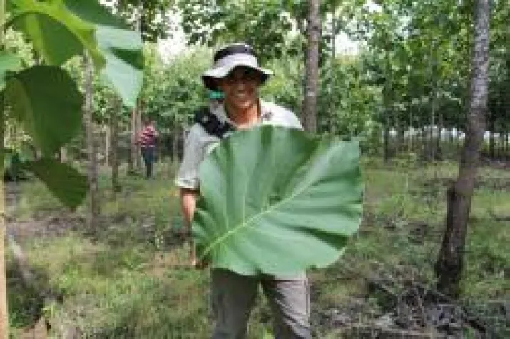 Bild: Life Forestry: Teakbäume pflanzen - Zu Besuch in der Eliteschule