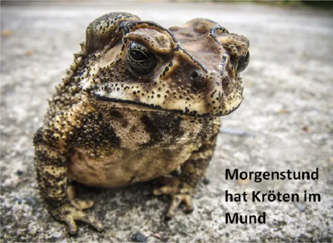 Nie war Krötenschlucken so wichtig wie heute Bild: Nie war Krötenschlucken so wichtig wie heute