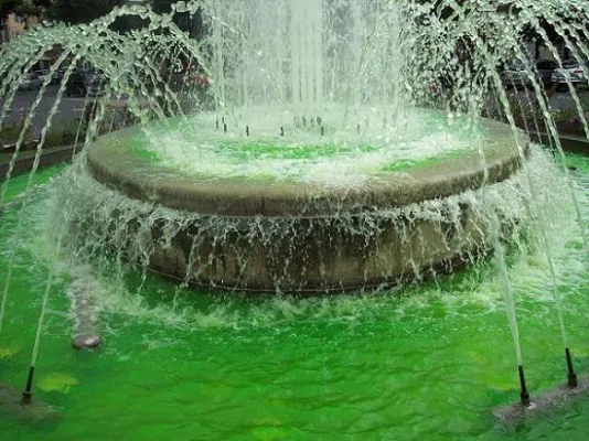 Bauherren starten persönliches Klimaschutzprogramm Bild: Bauherren starten persönliches Klimaschutzprogramm