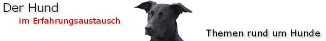 Bild: Informationen für Hundehalter - kostenlos und hochwertig