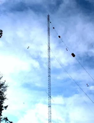 Bild: Green City Energy errichtet Windmessmast im Ebersberger Forst - Einjährige Windmessung in 140 Metern Höhe