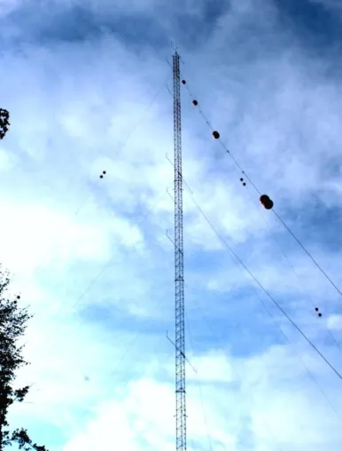 Bild: Green City Energy errichtet Windmessmast im Ebersberger Forst - Einjährige Windmessung in 140 Metern Höhe