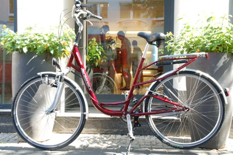 Sommer - Sonne - Fahrradspaß Bild: Sommer - Sonne - Fahrradspaß