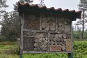 Bild: Gelaunched - Neue Ratgeberseite für Insektenhotels zum Schutz unserer Natur