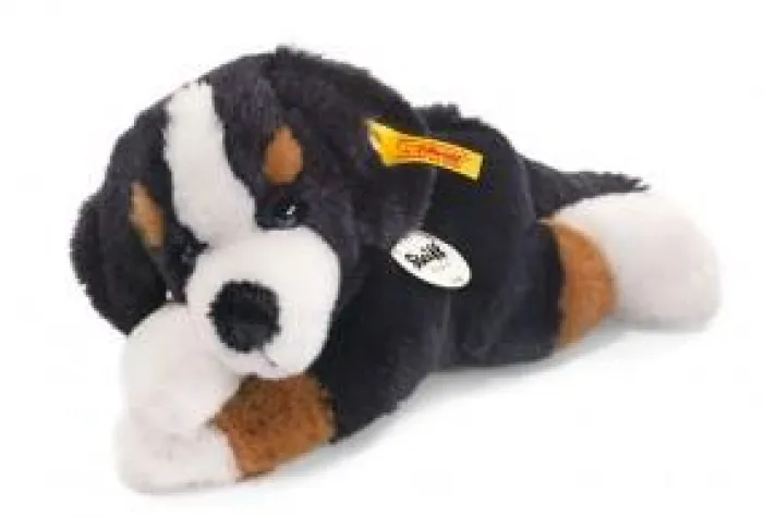 Bild: (K)Eine schöne Bescherung – Hunde unterm Weihnachtsbaum