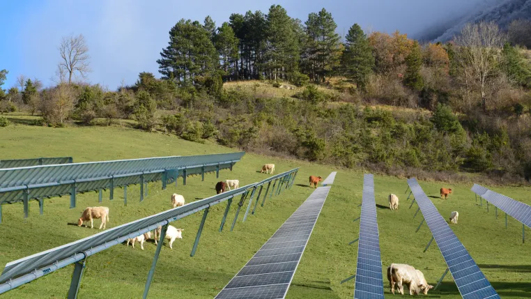 Bild: Agrivoltaik genießt vergleichsweise hohe Akzeptanz 