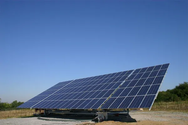 Immer schön der Sonne nach Bild: Immer schön der Sonne nach