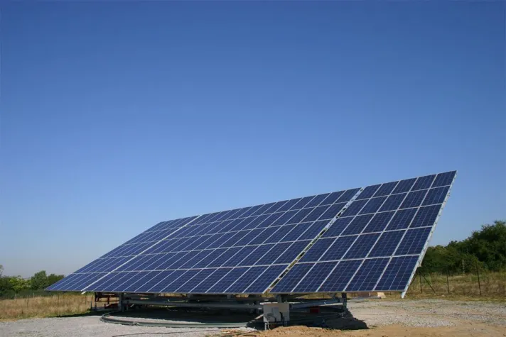 Immer schön der Sonne nach Bild: Immer schön der Sonne nach