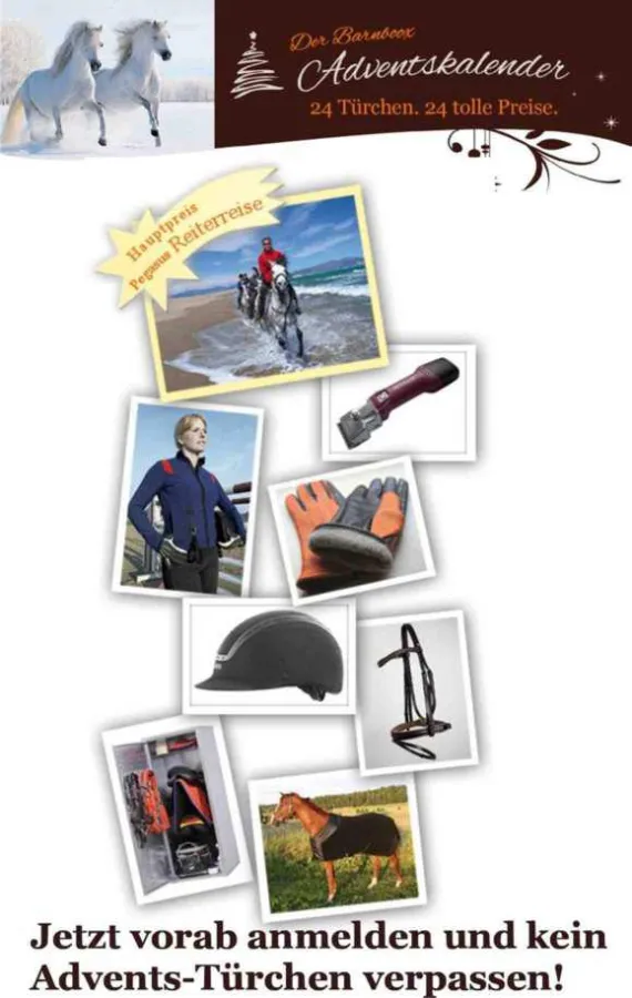 24 hochwertige Preise für Pferd und Reiter verkürzen das Warten auf das Christkind.  Foto: Barnboox.