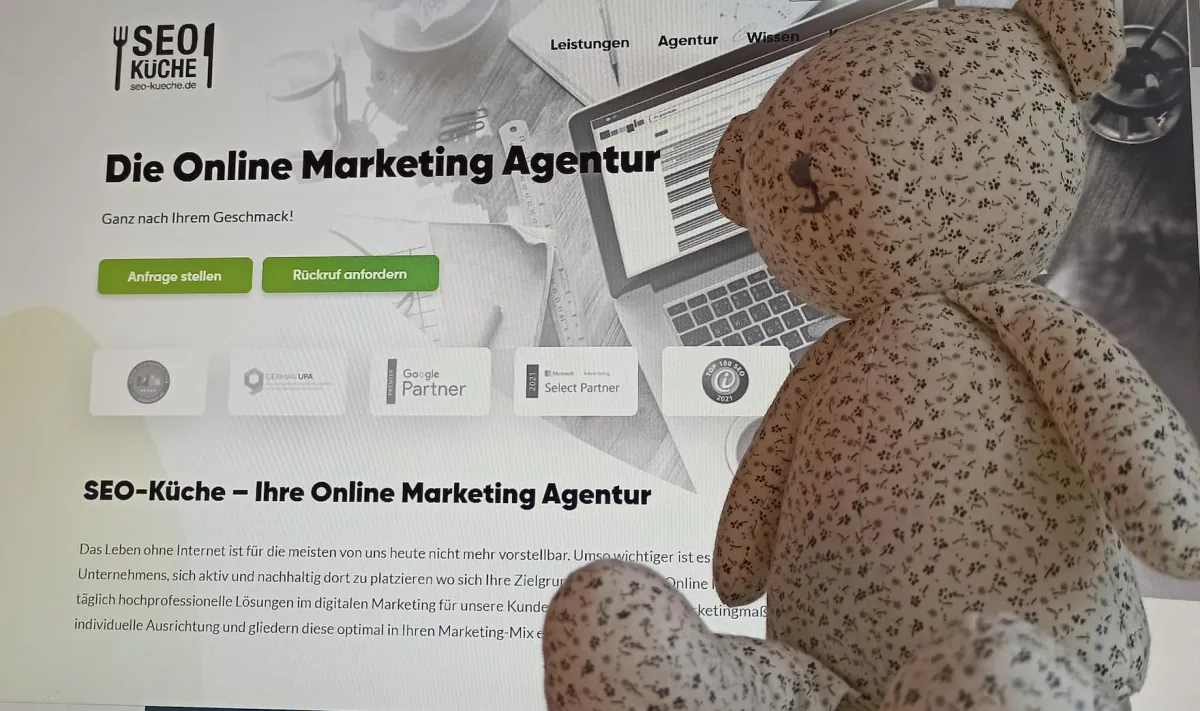 Der Contentbär der SEO-Küche