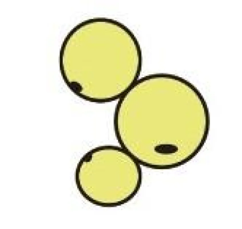 DAG