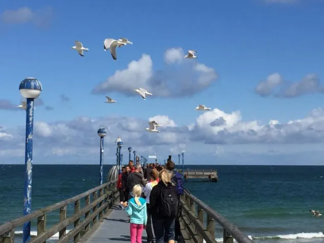 Bild: Ostseeheilbad Zingst - Urlaub zwischen Meer und Bodden