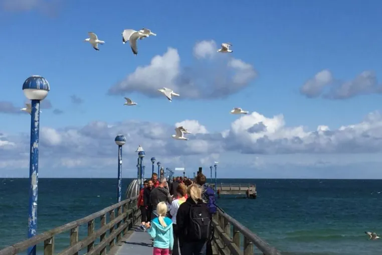 Bild: Ostseeheilbad Zingst - Urlaub zwischen Meer und Bodden