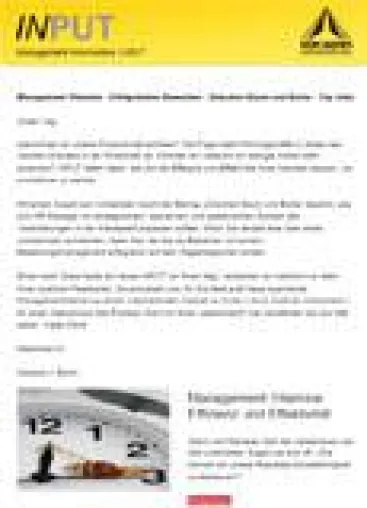 Bild: Management Information INPUT 1-2017