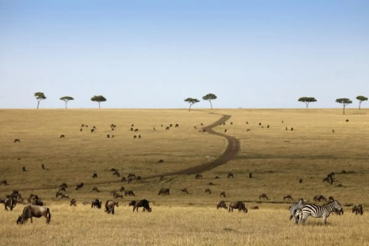 Reise Tansania mit Safari Serengeti Zeltcamp