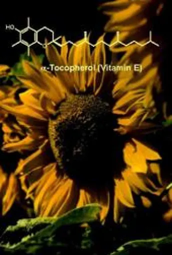 Bild: Radikales Forschungsergebnis zur Oxidation von Vitamin E