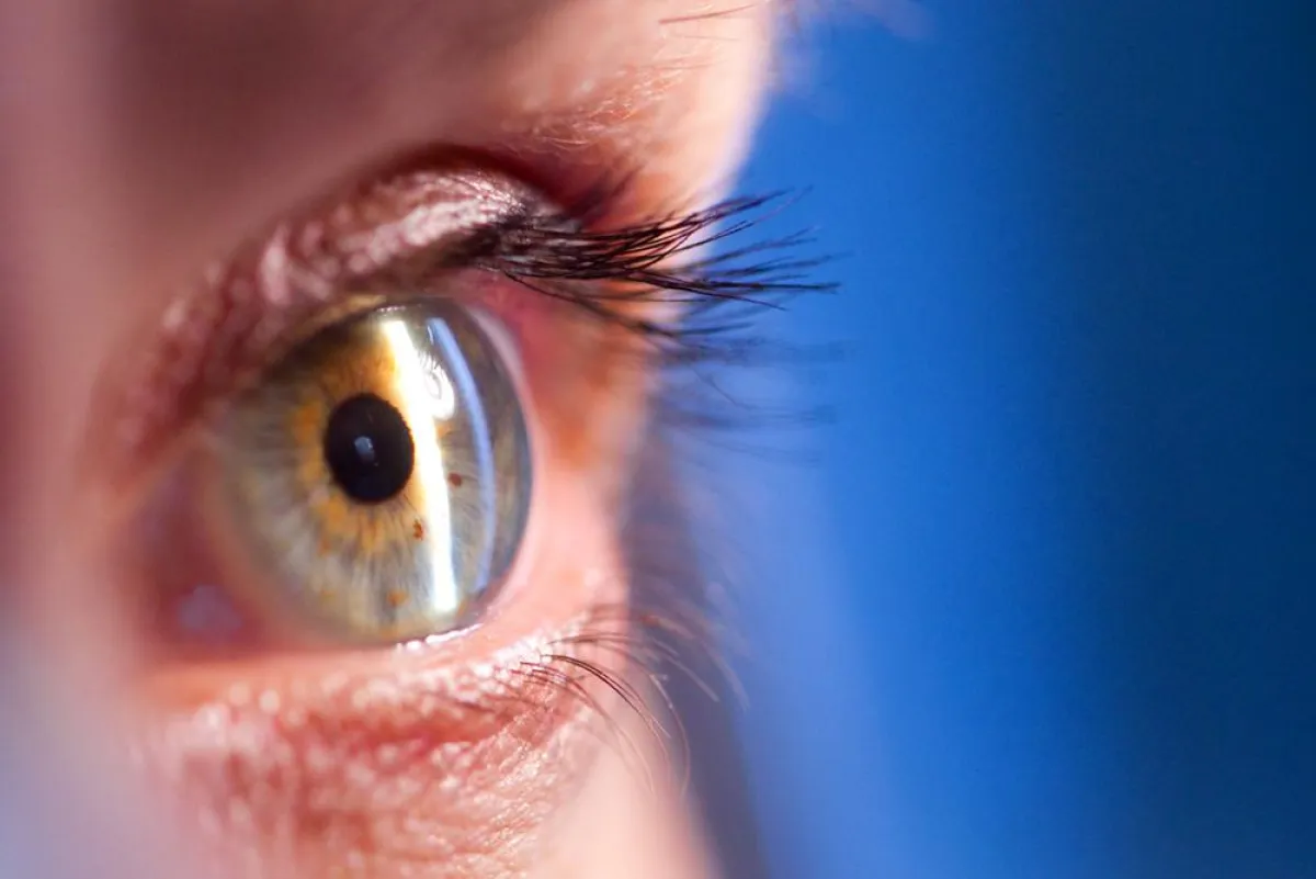 Blindheit verstehen und verhüten: Aktion zur Woche des Sehens