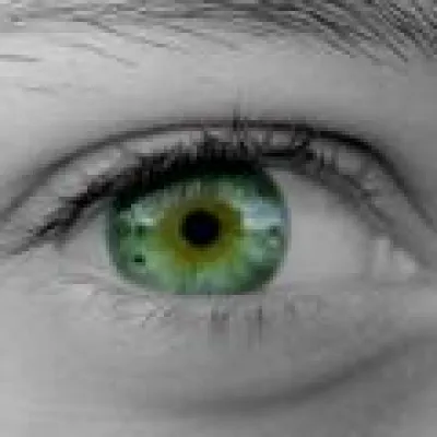 Bild: Irisbiometrie im Einsatz