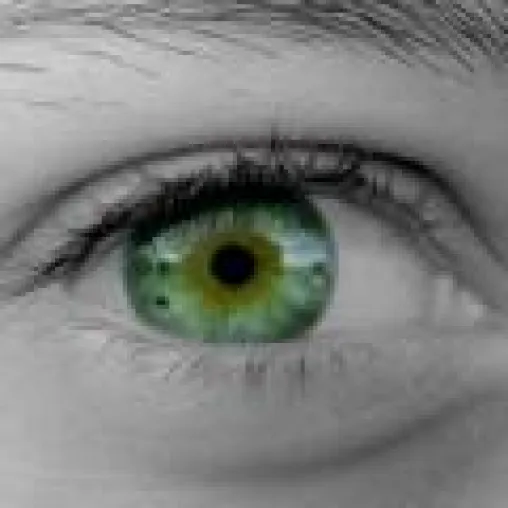 Bild: Irisbiometrie im Einsatz