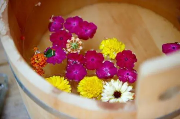 Bild: Fit für das Jahr mit waldYOGA, Sonnenaufgangswanderungen und Spargelkochkursen - frühlingsZEIT im Forsthofgut