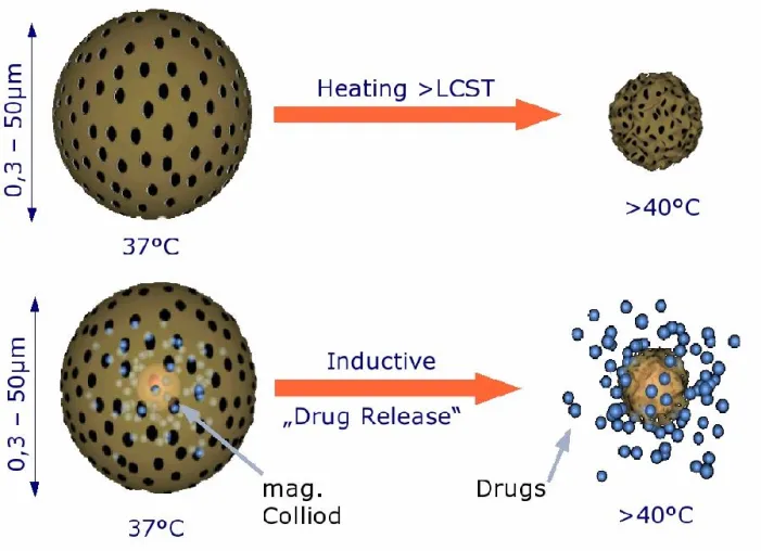 Bild: Neue Tumortherapie aus der Nanotechnologie