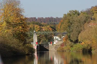 Bild: Fische benutzen lieber die Schiffsschleusen an der Lahn.