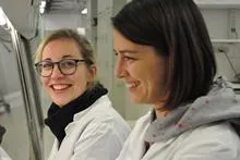 Hepatitis-Therapie: Balance zwischen Abwehr und Regeneration durch Kupfferzellen Bild: Hepatitis-Therapie: Balance zwischen Abwehr und Regeneration durch Kupfferzellen