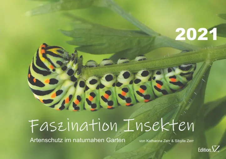 Bild: Fotokalender: Faszination Insekten. Artenschutz im naturnahen Garten