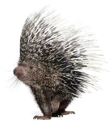 Bild: EgoSecure stellt das neue Release von EgoSecure Endpoint auf der it-sa vor