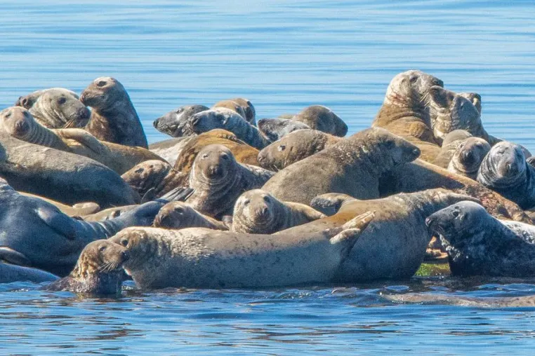 Bild: Dänemark mal anders: 4-tägige Fotoreise „Bornholm und Erbseninseln“