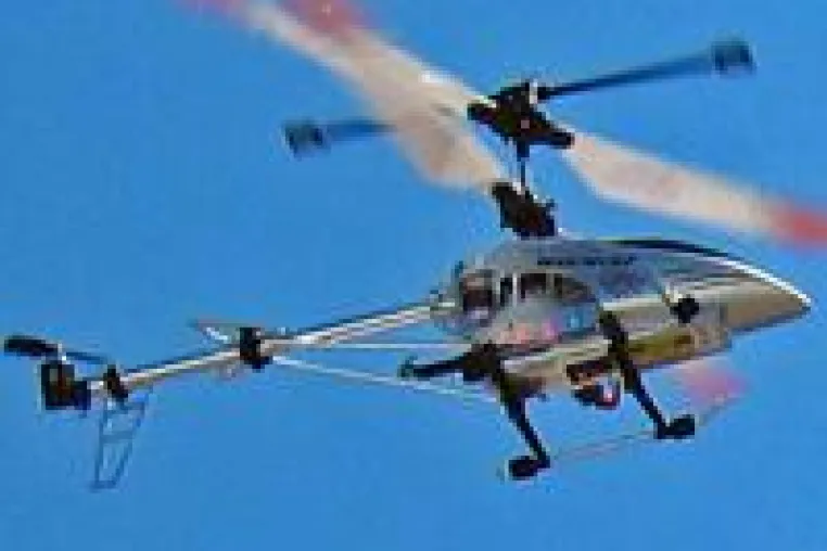 Bild: Brigamo lässt den "Werwolf" von der Leine