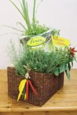 Geschenkidee für Gourmets und Hobbyköche: Ein frisches Kräuter-Potpourri für die Fensterbank Bild: Geschenkidee für Gourmets und Hobbyköche: Ein frisches Kräuter-Potpourri für die Fensterbank