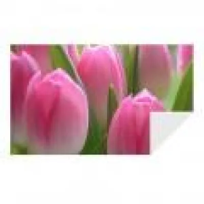 Bild: janmedia - jetzt auch online