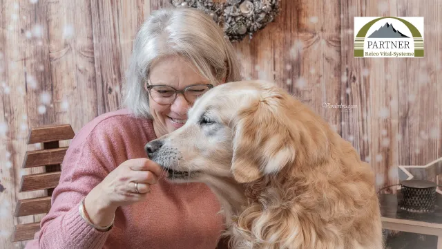 Bild: In 6 einfachen Schritten zur Futterempfehlung für Ihren Hund