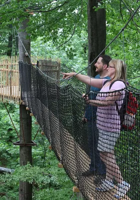 Bild: Baumkronenpfad – die neue Attraktion auf dem Hoherodskopf